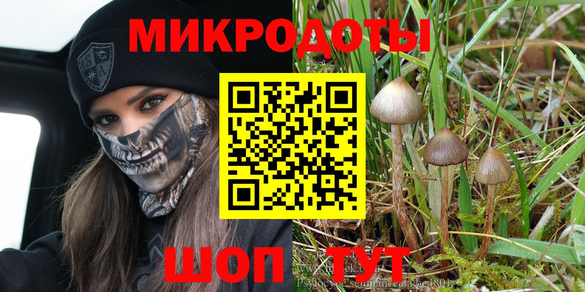 Грязи  Галлюциногенные грибы Psilocybe  Вход с VPN 