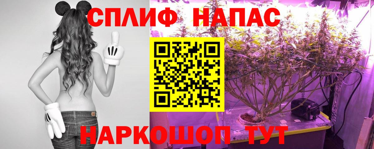 Бошки Шишки ГИДРОПОН Грязи